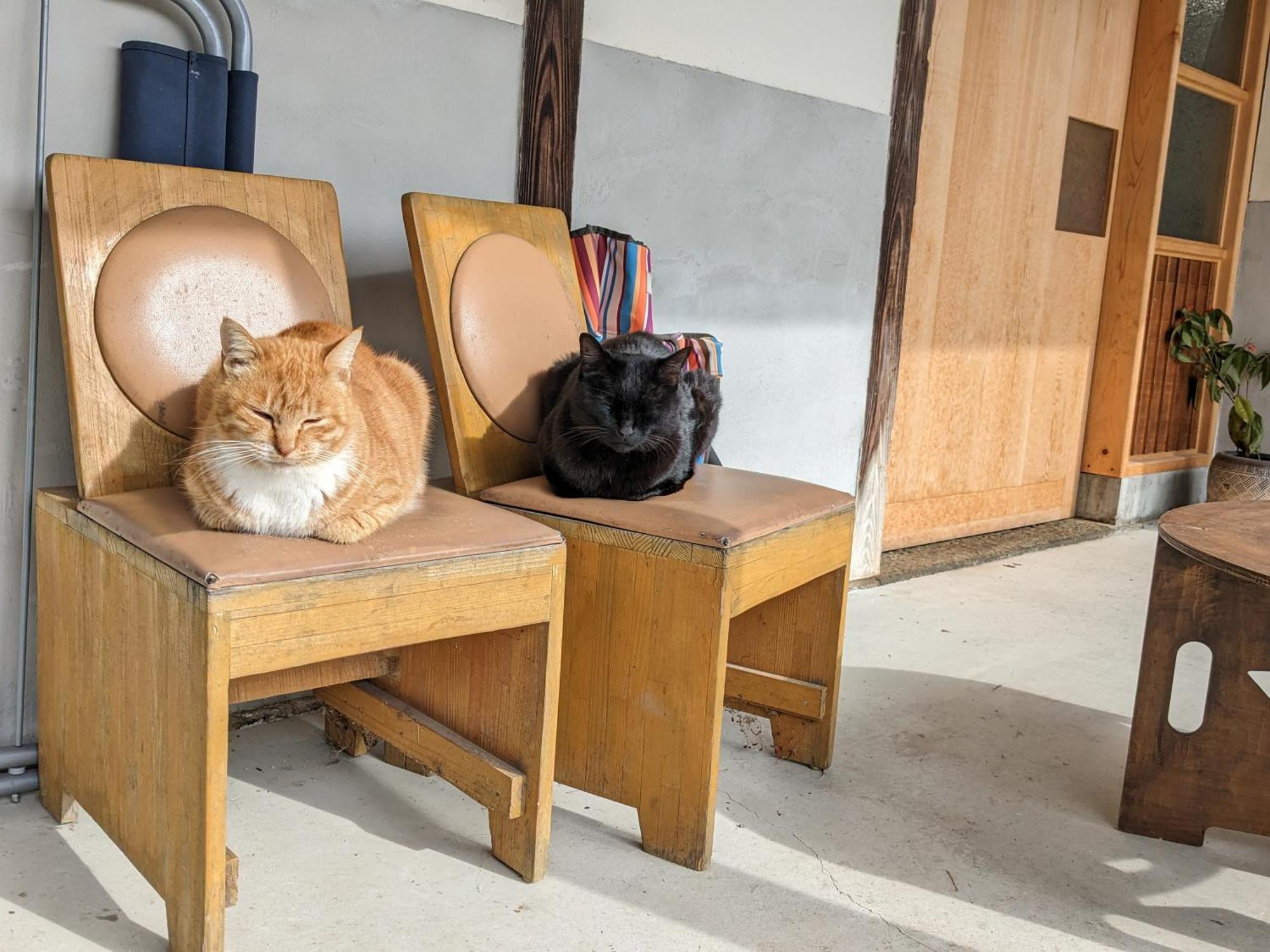 猫と図書館のある宿 草地家 Kusachike Minamiawaji Esterno foto
